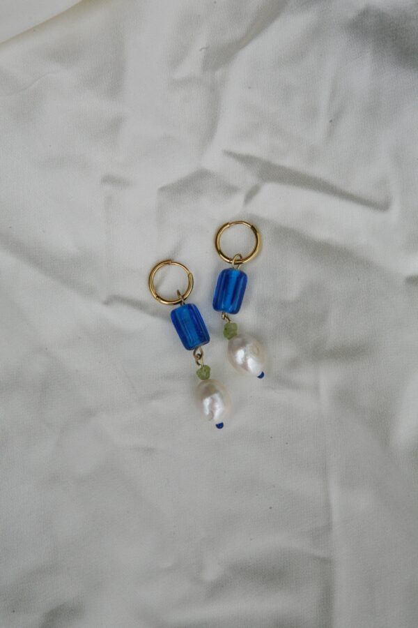 Earrings 50